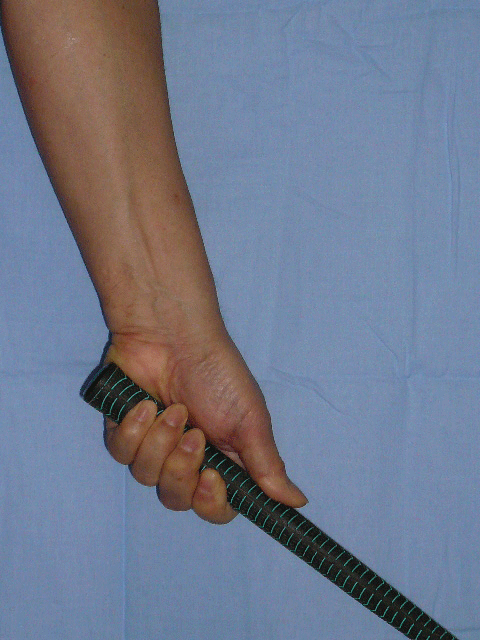 �S���t��B�@�̃X�C���O